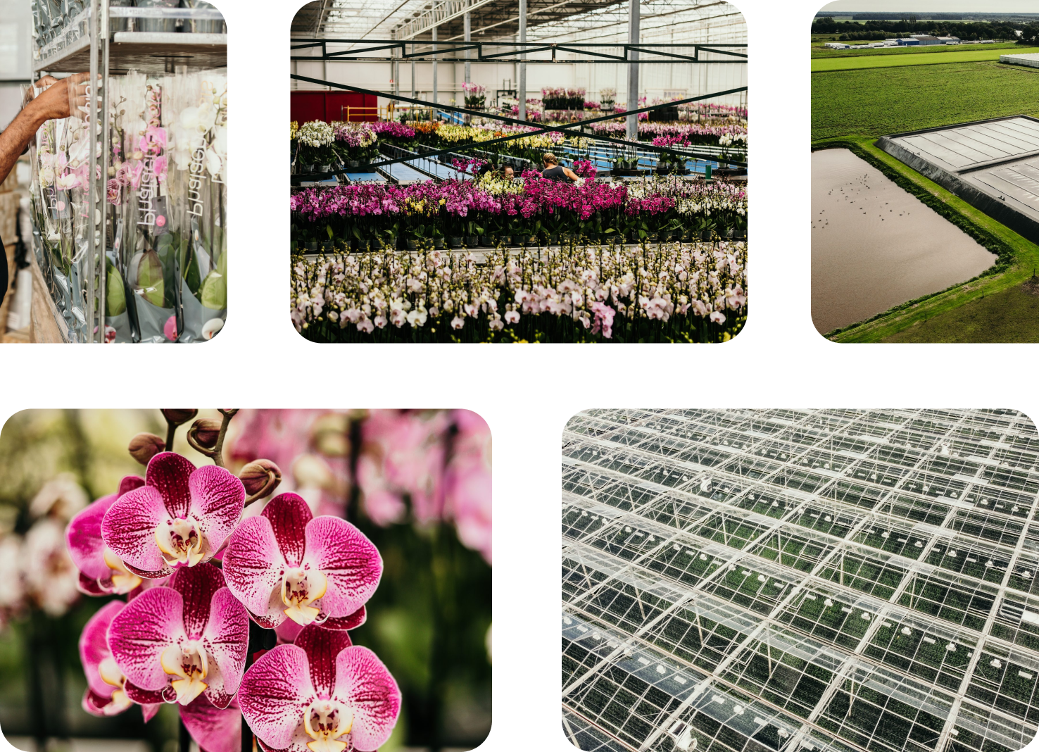 CONTACTPhone_VanGeel